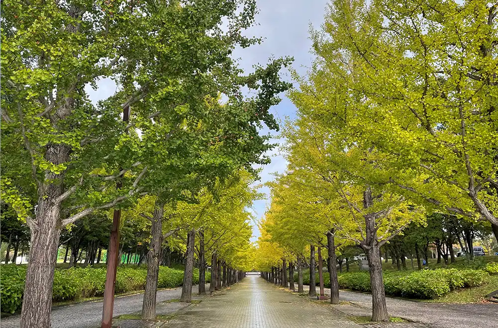 あづま総合運動公園